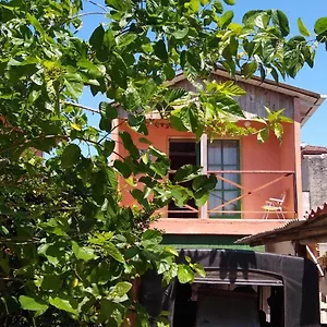 Revoada Dos Papagaios , Florianópolis Brasil